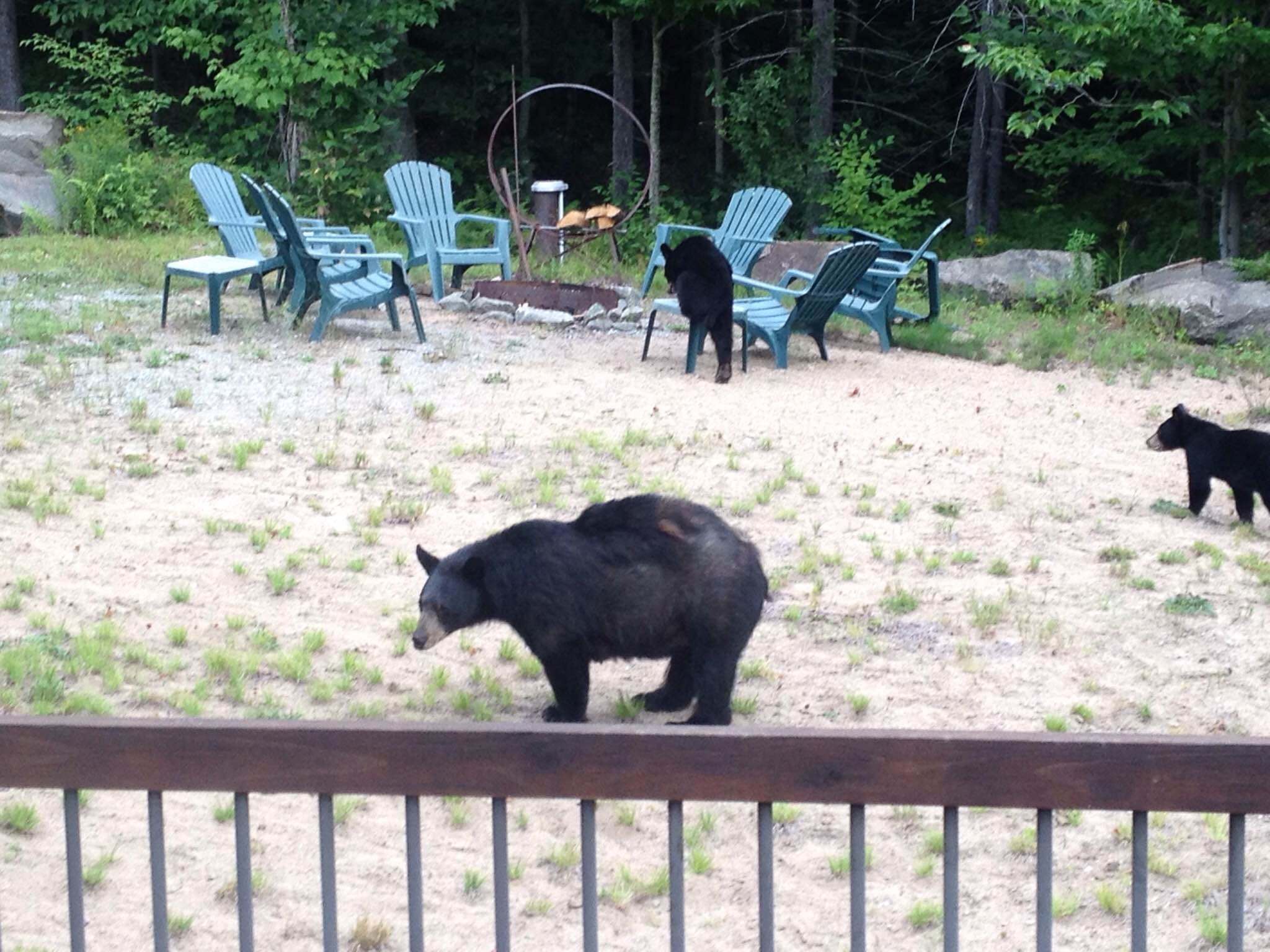 Rental Homes Old Rentals